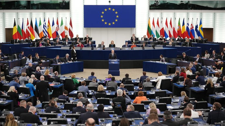 Sitzung im EU-Parlament (Foto: dpa Bildfunk, Picture Alliance)