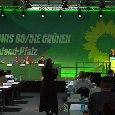 Landesdelegiertenversammlung Grüne