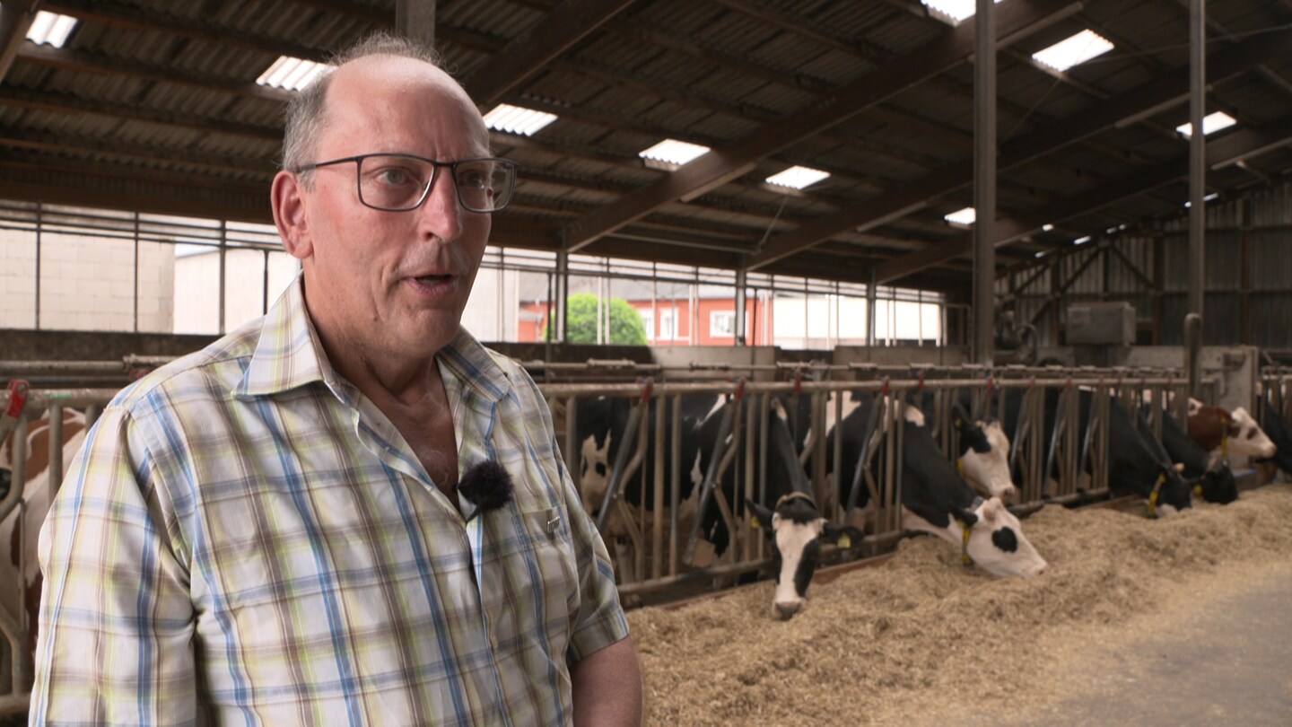 Internationale Produktionskette bei Milchbauern ist 