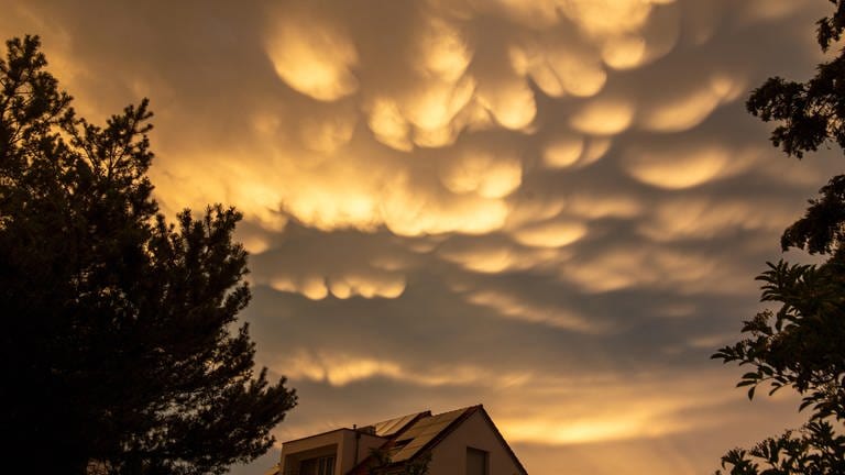 Spektakuläre Mammatuswolken nach einem Gewitter am Himmel über Mutterstadt, Pfalz. (11.07.2023) (Foto: picture-alliance / Reportdienste, picture alliance / CHROMORANGE | CHROMORANGE)