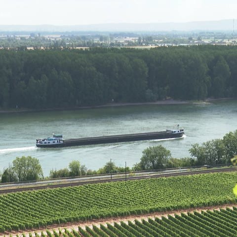 Ein Frachtschiff fährt den Rhein entlang