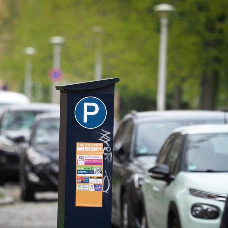 parkende Autos mit Parkscheinautomat (Foto: picture-alliance / Reportdienste, picture alliance/dpa | Soeren Stache)