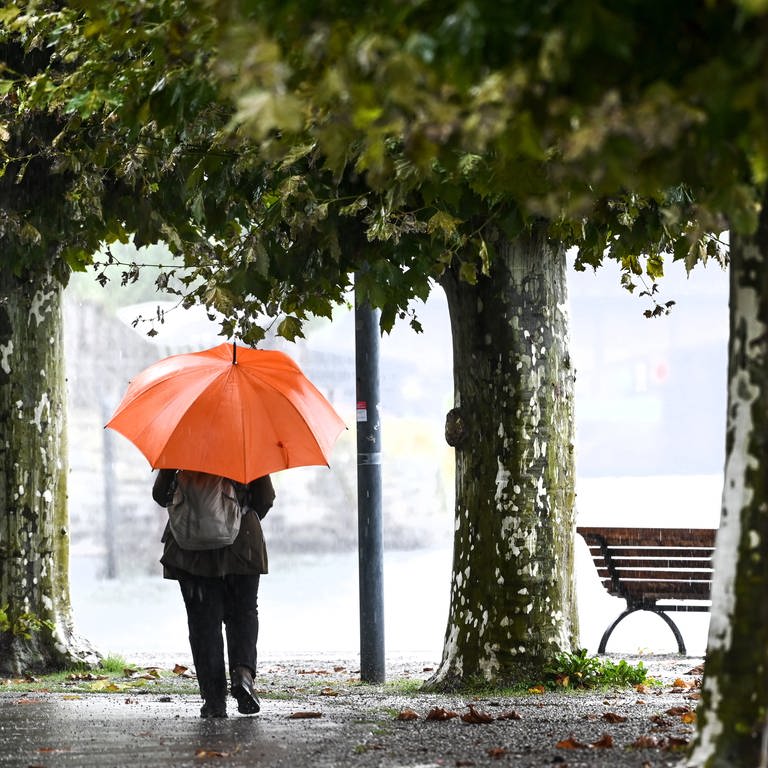 Eine Frau mit Regenschirm geht an einer Uferpromenade entlang, während es in Strömen regnet.