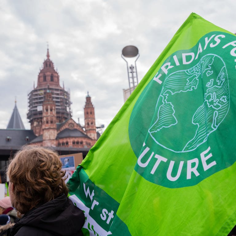 Archivaufnahme von einer Demonstration für Klimaschutz in Mainz (Foto: dpa Bildfunk, picture alliance/dpa | Andreas Arnold | Archiv)