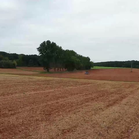 Landwirt auf einem Feld