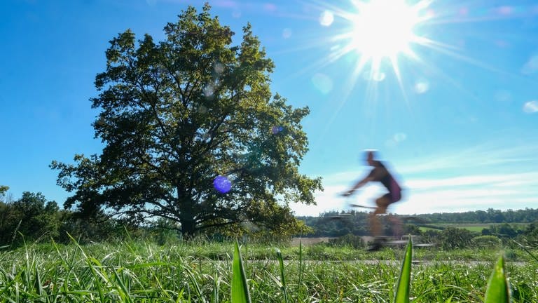 Ein Fahrradfahrer fährt bei strahlendem Sonnenschein durch einen Park (Foto: picture-alliance / Reportdienste, Picture Alliance)