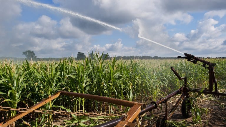 Für viele Landwirte in RLP wird das Bewässern der Felder bald teurer (Foto: dpa Bildfunk, picture alliance/dpa | Julian Stratenschulte)