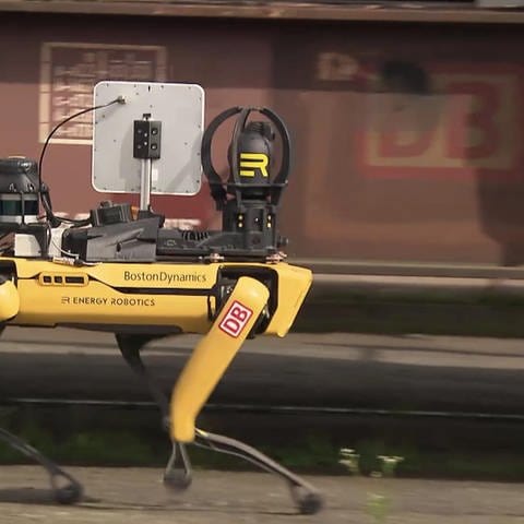 Roboterhund der deutschen Bahn