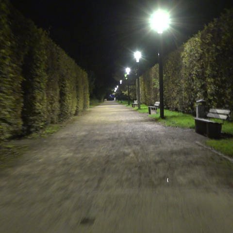 Palastgarten im Dunkeln