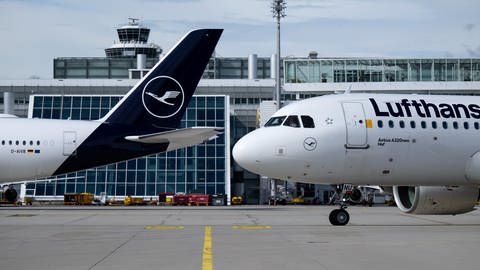Flugzeuge der Lufthansa stehen am Flughafen München auf dem Rollfeld (Archivbild).  (Foto: dpa Bildfunk, picture alliance/dpa | Sven Hoppe)