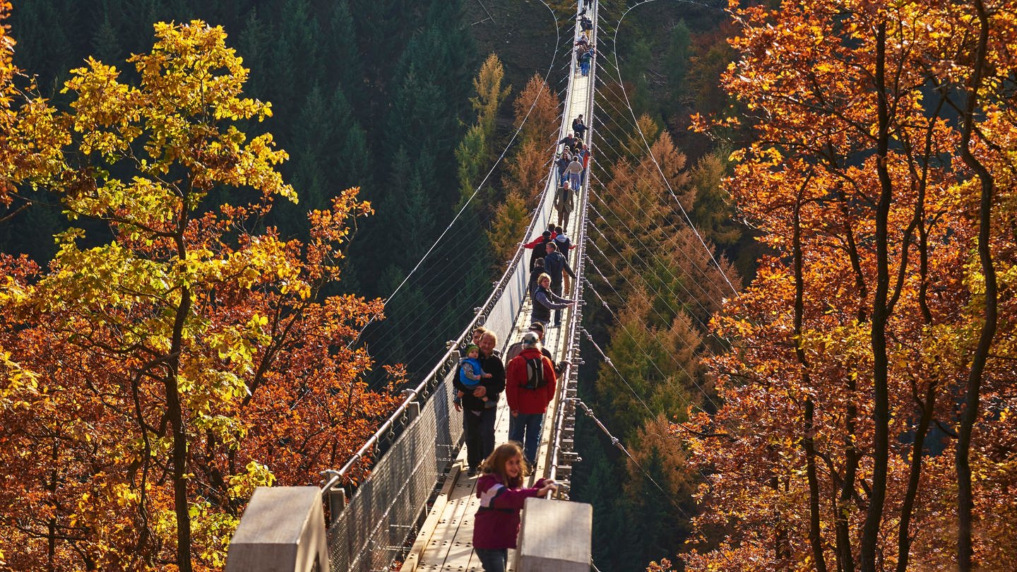 Ein Ausflugstipp für den Herbst in Rheinland-Pfalz: Die Hängeseilbrücke im Hunsrück bei Mörsdorf. (Foto: picture-alliance / Reportdienste, picture alliance / imageBROKER | Bernhard Schmerl)