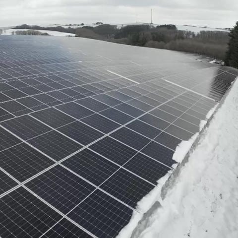 Größter Solarpark ans Netz