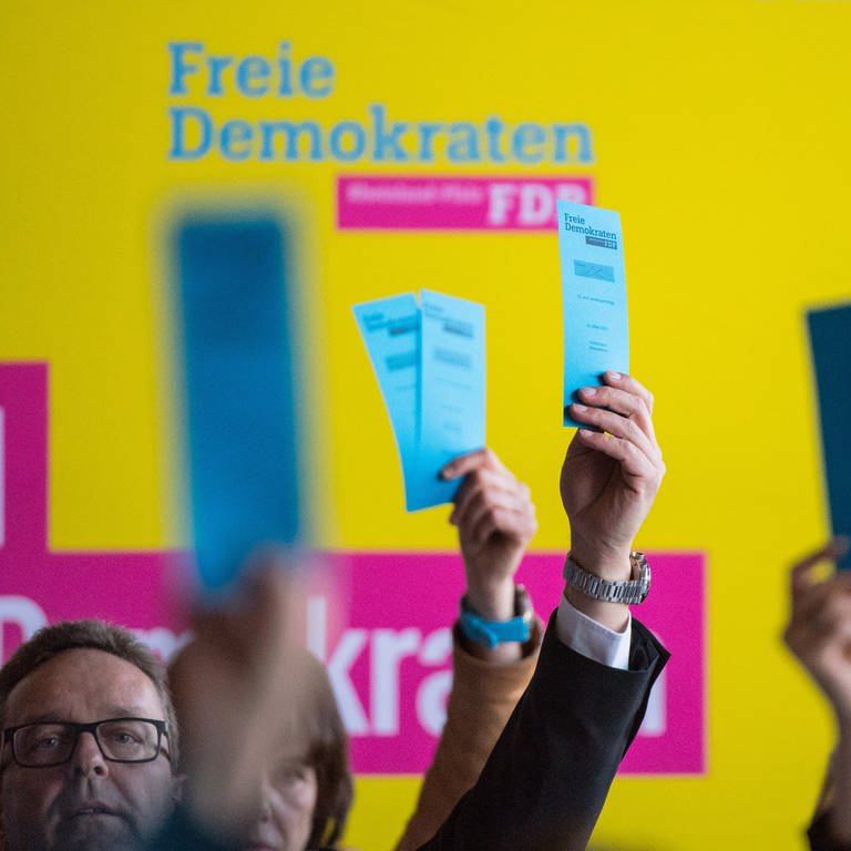 Abstimmung bei der FDP (Foto: dpa Bildfunk, Picture Alliance)