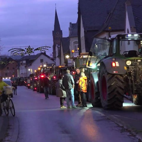 Bauern Protest (Foto: SWR)
