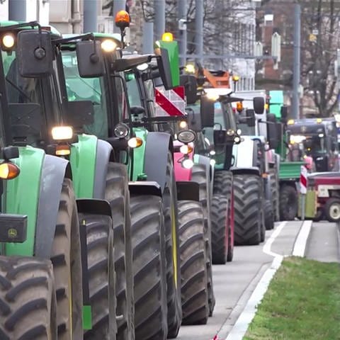 Eine Reihe Traktoren steht direkt hintereinander. (Foto: SWR)