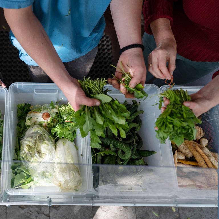 Ehrenamtliche Helfer sortieren in einer Foodsharing-Station Lebensmittel.  (Foto: dpa Bildfunk, picture alliance/dpa | Marijan Murat)