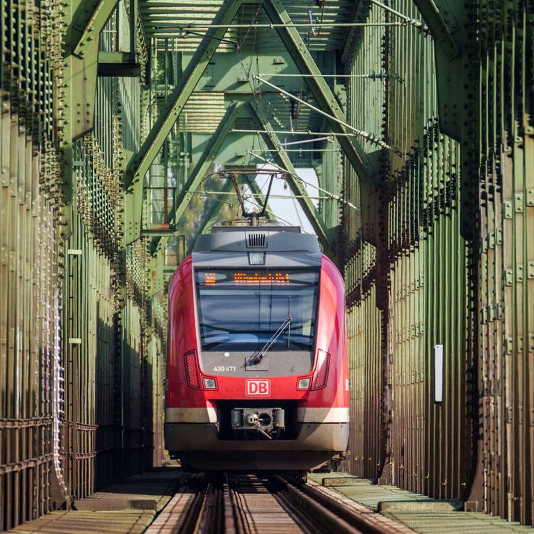 Eine S-Bahn fährt über die Mainzer Südbrücke in Richtung Hessen.