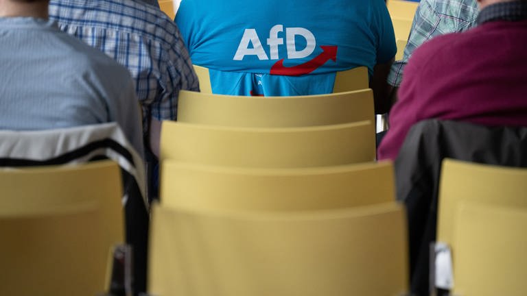 Während die größten Parteien in RLP weiter an Mitgliedern verlieren, verzeichnen AfD und Freie Wähler deutliche Zuwachse.  (Foto: picture-alliance / Reportdienste, picture alliance/dpa | Sebastian Christoph Gollnow)