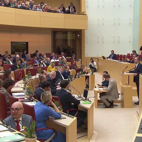 Parteisitzung im Müncher Landtag (Foto: SWR)