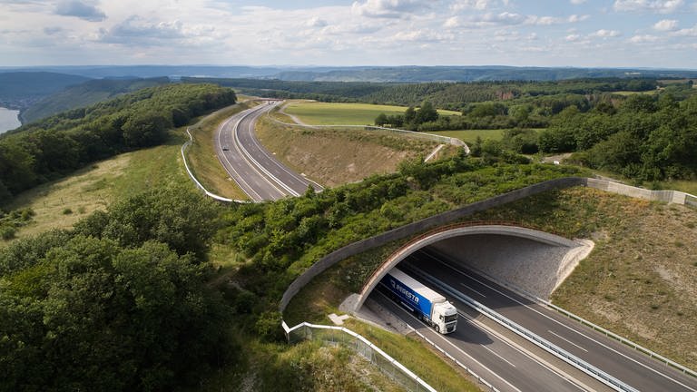 Eine Grünbrücke überquert die Bundestrasse B50. (Foto: dpa Bildfunk, Picture Alliance)