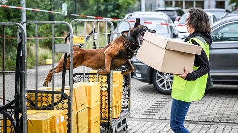 Hundetraining für Postzusteller (Foto: IMAGO, IMAGO / Funke Foto Services)