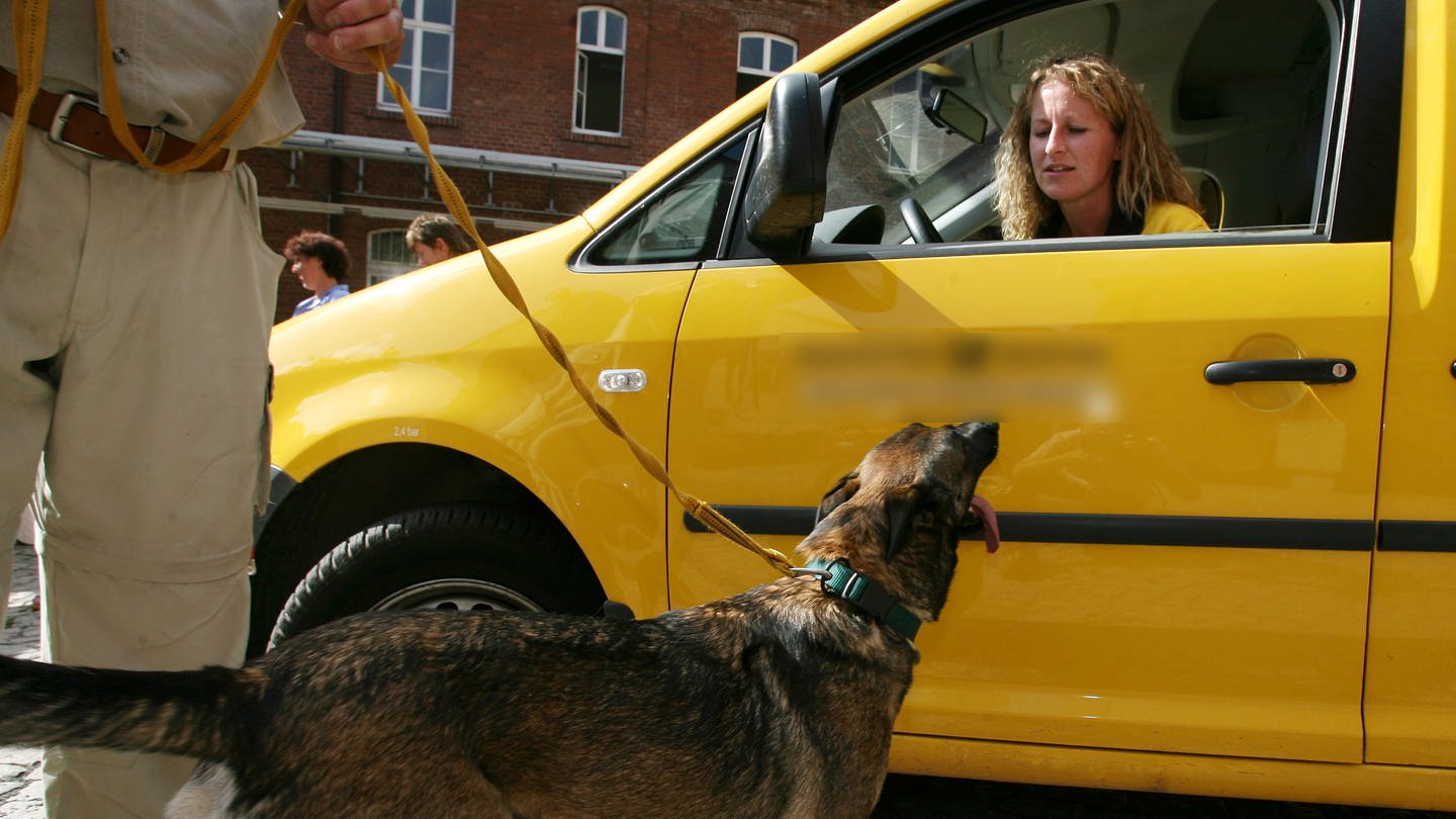 Hundeseminar für Postboten (Foto: picture-alliance / Reportdienste, picture-alliance/ ZB | Martin Schutt)