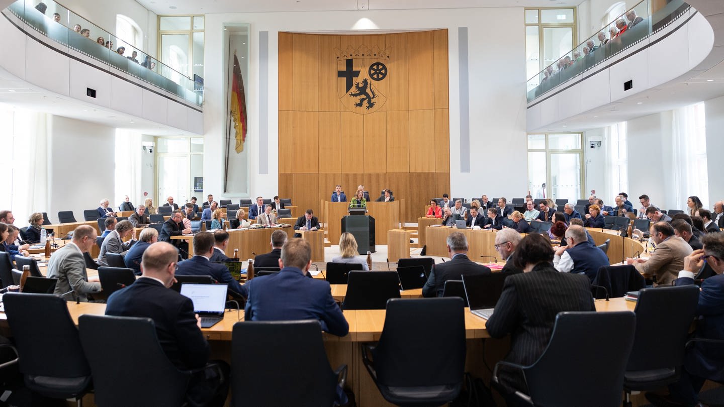Sitzung im RLP-Landtag: Die SPD will genauer prüfen, wer dort arbeitet (Foto: dpa Bildfunk, Picture Alliance)