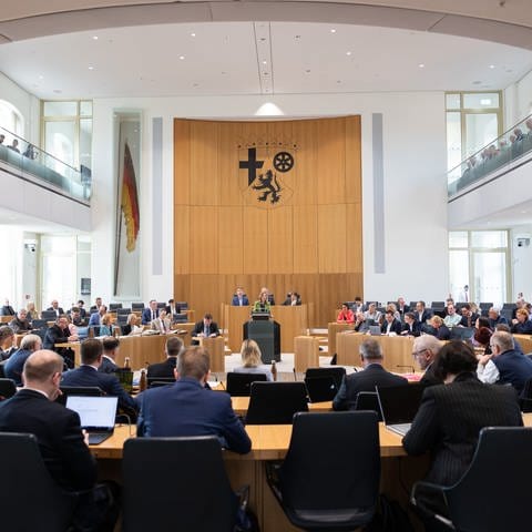 Sitzung im RLP-Landtag: Die SPD will genauer prüfen, wer dort arbeitet