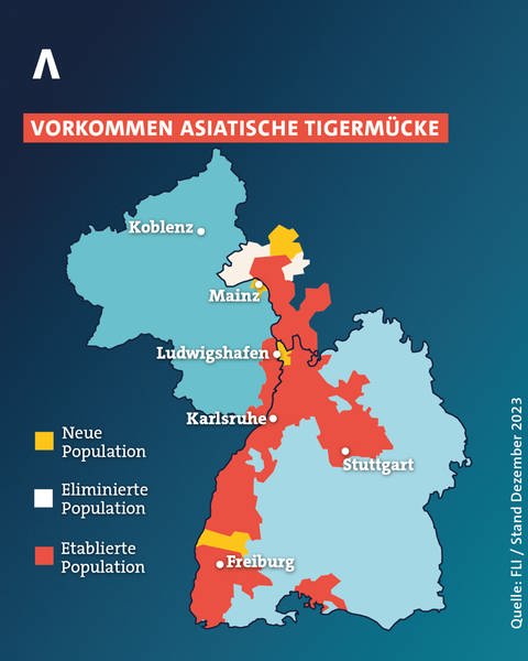 Verbreitung der Tigermücke in Rheinland-Pfalz und in Baden-Württemberg  (Foto: SWR)
