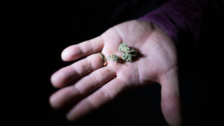 Ein Mann hält Cannabis in der Hand.  (Foto: dpa Bildfunk, picture alliance/dpa | Sebastian Gollnow)