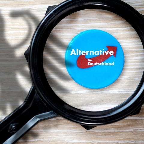 Logo der Partei Alternative für Deutschland (AfD) unter der Lupe