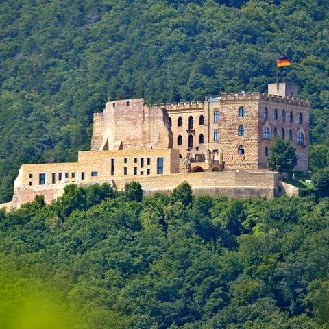 Im Hambacher Schloss in Neustadt an der Weinstraße findet anlässlich des 75. Geburtstags des Grundgesetzes ein "Fest der Demokratie" statt