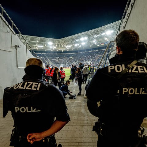 Polizisten im Einsatz bei einem Fußball-Länderspiel in Sinsheim.