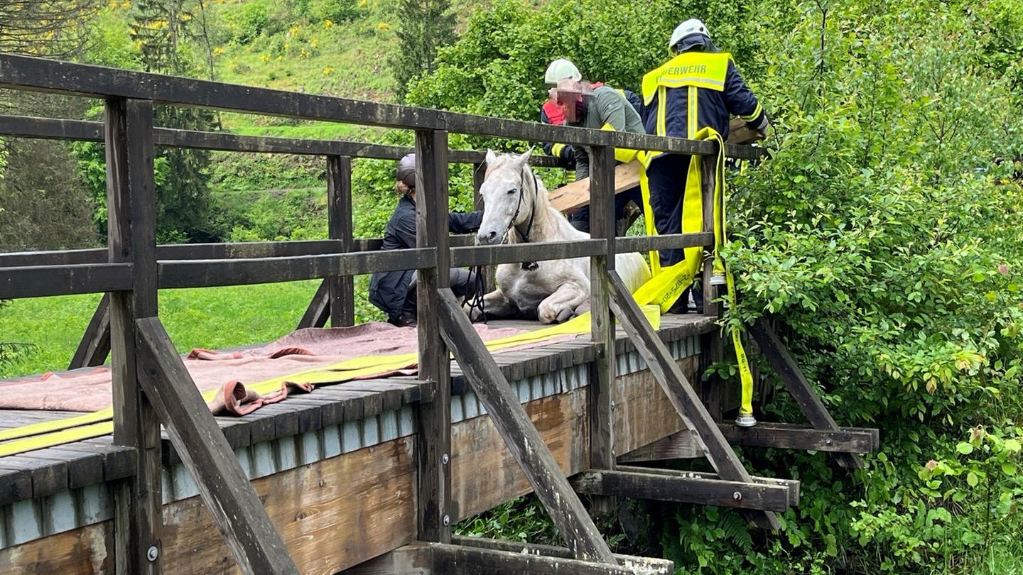 Ein Pferd ist auf einer kleinen Holzbrücke in Grimburg (Kreis Trier-Saarburg) eingebrochen. Feuerwehrleute halfen, es zu befreien. (Foto: Polizeiinspektion Hermeskeil)