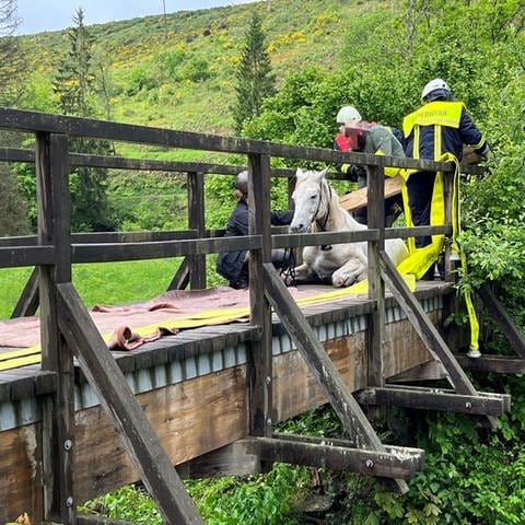 Ein Pferd ist auf einer kleinen Holzbrücke in Grimburg (Kreis Trier-Saarburg) eingebrochen. Feuerwehrleute halfen, es zu befreien. 