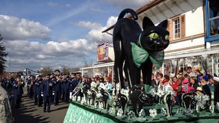 Umzugswagen mit schwarzer Katze, dem Maskottchen des Karnevalvereins "Bruchkatze" (Foto: SWR)