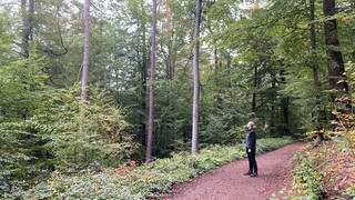 Ein Mitarbeiter des Forstamts Kaiserslautern kontrolliert den Pfälzerwald auf Baumschäden (Foto: SWR)