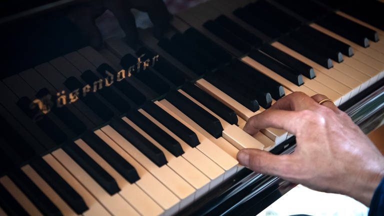 Eine Hand spielt Klavier. (Foto: dpa Bildfunk, picture alliance/dpa | Sina Schuldt)