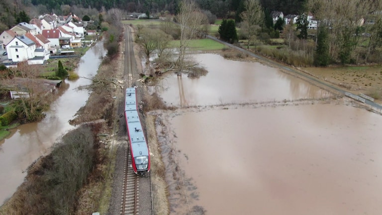 Die Regionalbahn war am Montagmorgen zwischen Pirmasens Nord und Thaleischweiler-Fröschen gegen einen Baum geprallt, der dort wegen eines Sturms auf den Schienen lag. (Foto: SWR)