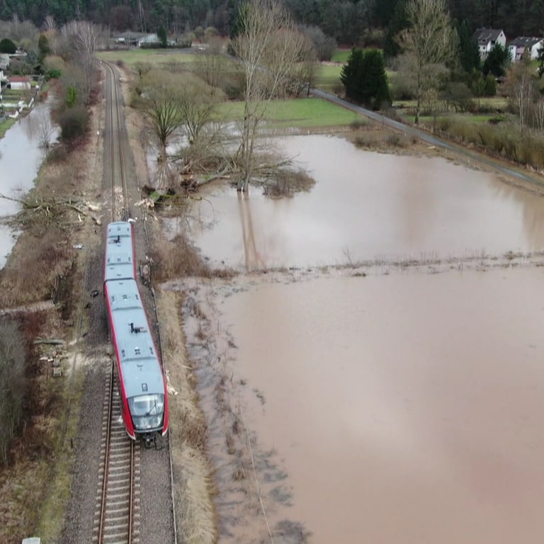 Die Regionalbahn war am Montagmorgen zwischen Pirmasens Nord und Thaleischweiler-Fröschen gegen einen Baum geprallt, der dort wegen eines Sturms auf den Schienen lag. (Foto: SWR)