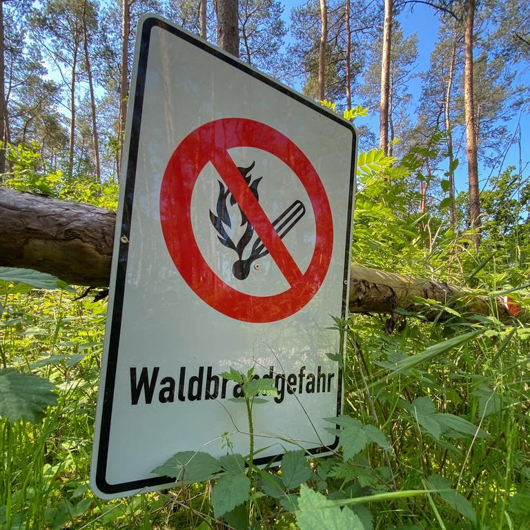 Im Pfälzerwald steigt die Waldbrandgefahr aufgrund der anhaltenden Trockenheit. (Foto: picture-alliance / Reportdienste, picture alliance/dpa | Julian Stratenschulte)