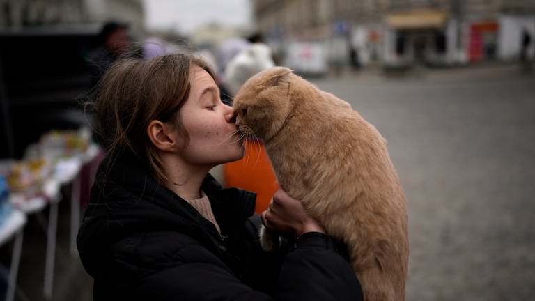Ein Mädchen spielt mit ihrer Katze. Sie gehört zu den Geflüchteten aus der Ukraine, die am Bahnhof in Przemysl (Polen) angekommen sind. (Foto: picture-alliance / Reportdienste, picture alliance/dpa/AP | Daniel Cole)