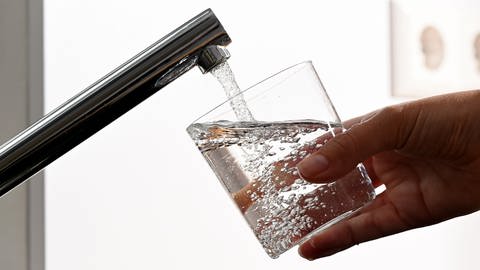 Eine Hand hält ein Wasserglas unter einen Wasserhahn (Foto: picture-alliance / Reportdienste, picture alliance/dpa | Bernd Weißbrod)