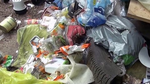 Illegaler Müllhaufen (Foto: SWR)