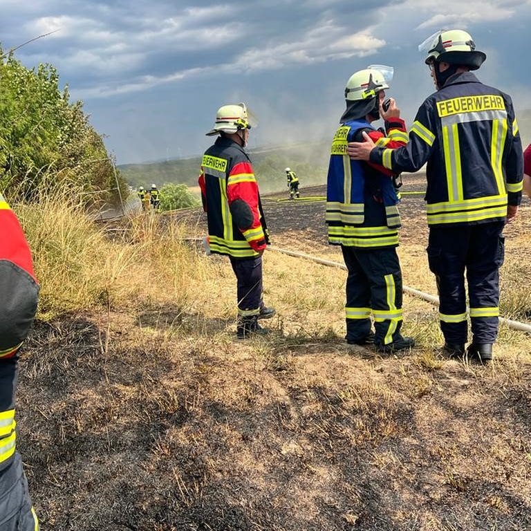 Bei dem Feldbrand in der Nähe von Rosenkopf (Kreis Südwestpfalz) waren mehrere Feuerwehren im Einsatz. Sie konnten verhindern, dass die Flammen auf ein Wohnhaus übergriffen. (Foto: Pressestelle, Freiwillige Feuerwehr Bruchmühlbach-Miesau)
