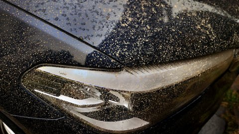 Motorhaube - in Hochspeyer ist Frittierfett auf Motorhauben ausgeschüttet worden (Foto: picture-alliance / Reportdienste, picture alliance/dpa | Karl-Josef Hildenbrand)