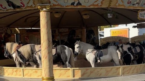 Ponykarussell auf der Kerwe in Kaiserslautern (Foto: SWR)