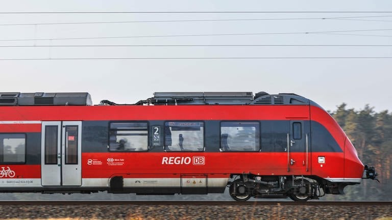 Randalierer in Regionalbahn im Kreis Kusel (Foto: picture-alliance / Reportdienste, picture alliance / Jochen Eckel | Jochen Eckel)