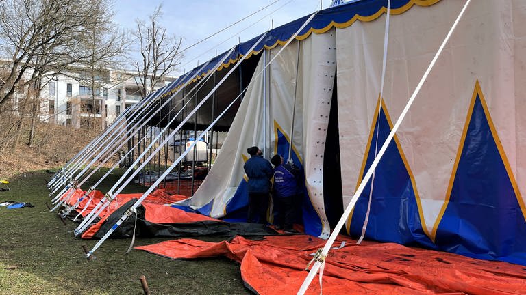 Nach dem Wasserschaden im Pfalztheater Kaiserslautern ist eine alternative Spielstätte gefunden: Im Zirkuszelt des Zirkusbetriebs Bossert sollen bald Opern gesungen werden. Das Zelt steht, doch ein Berg an Arbeit liegt noch an. (Foto: SWR)