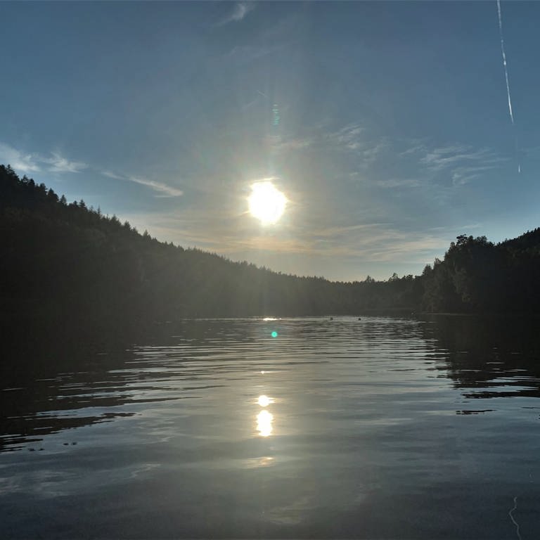 Sonne über dem Gelterswoog (Foto: SWR)